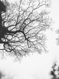 Low angle view of silhouette bare tree against clear sky