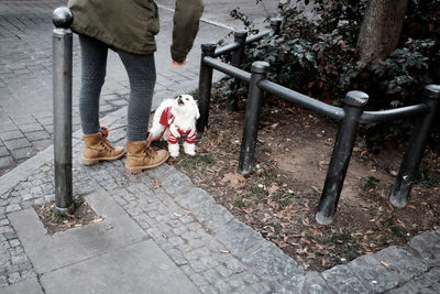 Low section of woman standing on sidewalk