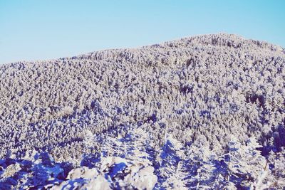 Scenic view of mountains against clear blue sky