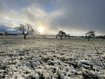 Scenic view of field against sky during winter