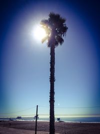 Sun shining over beach