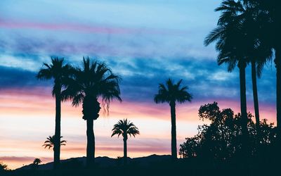 Silhouette palm trees at beach against sky during sunset