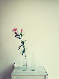 Close-up of flowers over white background