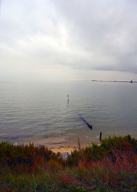 Seagulls flying over sea against sky