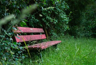 Empty bench on field