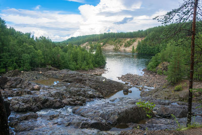 Scenic view of river amidst trees in forest against sky