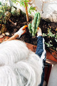 High angle view of man holding ice cream in yard