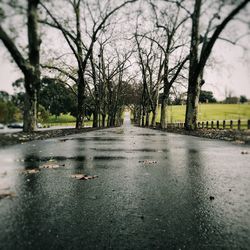 Puddle on road amidst trees against sky