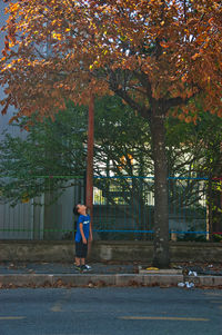 Woman sitting on road amidst trees during autumn