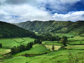 Scenic view of agricultural field against sky