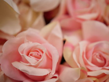 Close-up of rose bouquet