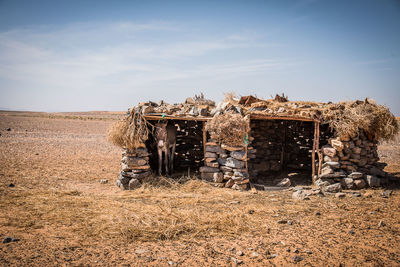 Donkey standing in built structure against sky during sunny day