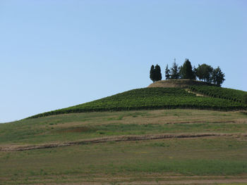 Low angle view of castle on hill against clear sky