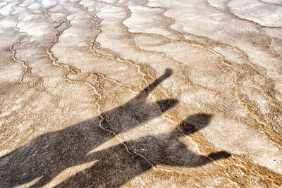 High angle view of people shadow on wave pattern shore