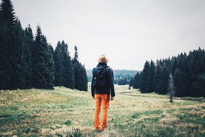 Rear view of woman standing on tree trunk