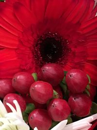 Full frame shot of red flower