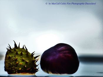 Close-up of tomatoes over white background