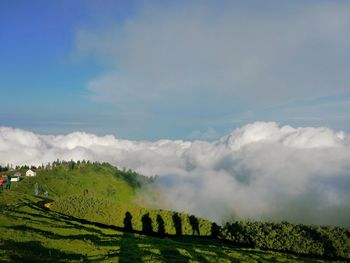 Panoramic shot of trees on land against sky