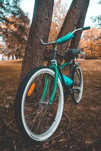 Bicycle parked on tree trunk