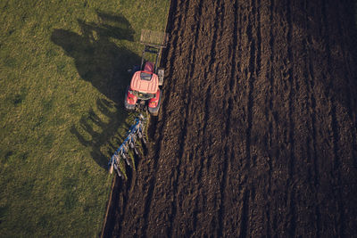 High angle view of man riding bicycle on tree trunk