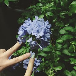 Cropped image of woman holding plant