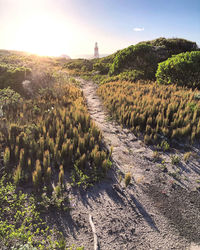 Lighthouse at the end of a path at aunrise