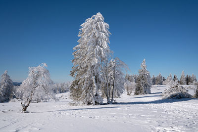 Panoramic landscape image of kahler asten during wintertime, sauerland, germany