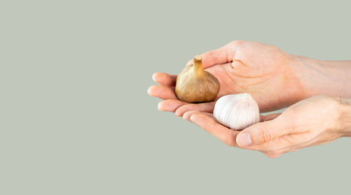 Cropped hand of woman holding seashell against white background