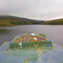 Close-up of leaf in lake against sky