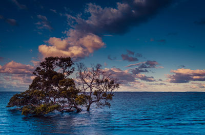 Scenic view of sea against sky during sunset