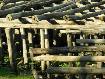 Close-up of wood