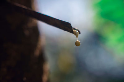 Close-up of water drop on leaf against sky