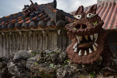 Shisa statue in okinawa, japan.