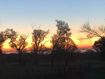 Silhouette trees on field against sky during sunset