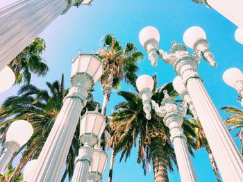 Low angle view of palm trees against clear sky