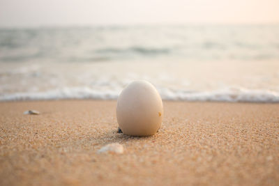 Close-up of sand on beach