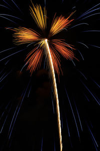 Low angle view of firework display at night