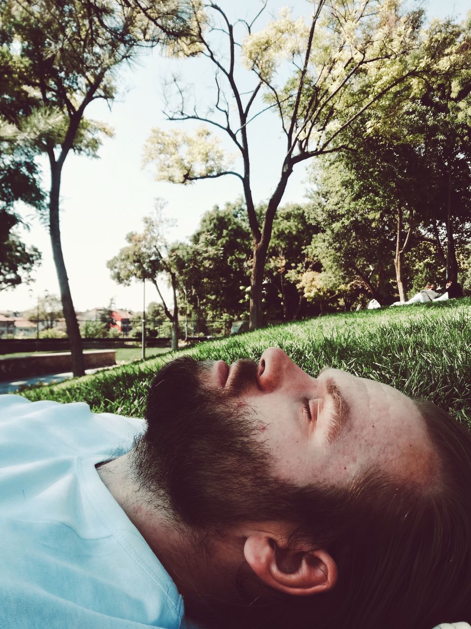 plant, one person, tree, nature, lying down, headshot, relaxation, leisure activity, men, adult, portrait, day, lifestyles, young adult, sunlight, eyes closed, lying on back, outdoors, person, human face, women, sky, resting, emotion, sleeping, spring, grass