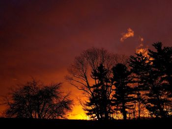 Silhouette trees against sky at night