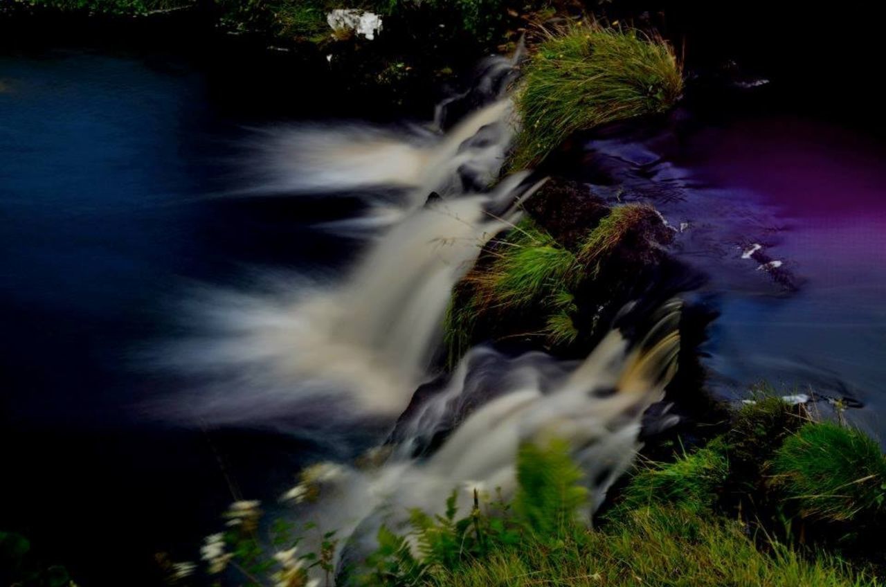 motion, water, long exposure, waterfall, plant, blurred motion, nature, flowing water, one animal, flowing, outdoors, no people, high angle view, night, rock - object, forest, beauty in nature, growth, splashing, stream
