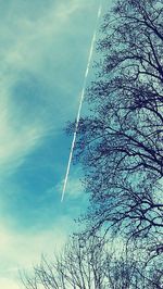 Low angle view of bare trees against blue sky