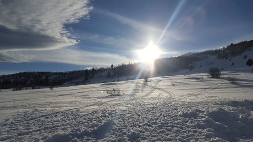 Snow covered landscape