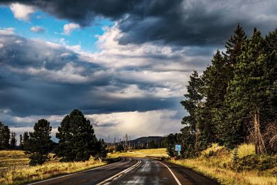 Road amidst trees against sky