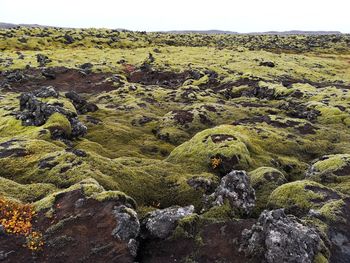 Scenic view of rocks on land against sky