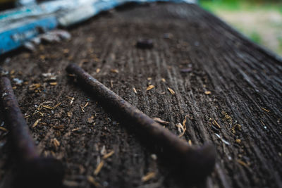 Close-up of rusty chain on field