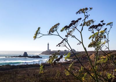 Scenic view of sea against clear sky