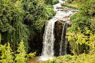 Scenic view of waterfall in forest