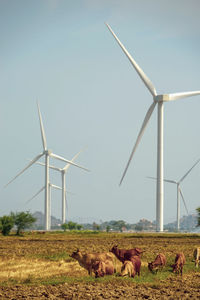 Windmills on field against sky