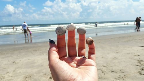 Cropped hand of woman with seashells at beach