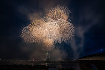 Low angle view of firework display at night